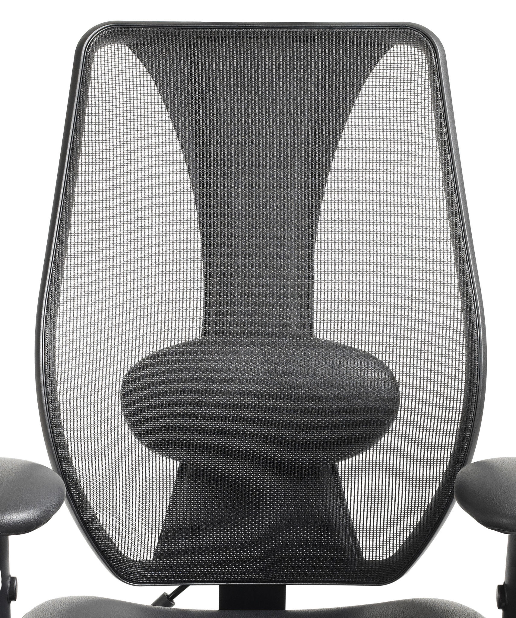 Lumbar Support